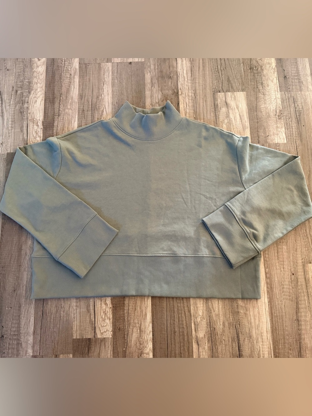 Sage Green Mock Neck Sweatshirt cropped